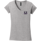 Lady Badgers Softstyle Ladies Fit V-Neck T-Shirt