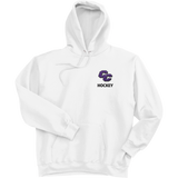 Curry College Ultimate Cotton - Pullover Hooded Sweatshirt
