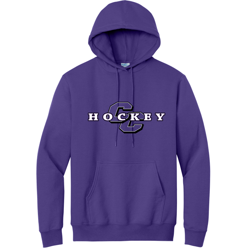 Curry College Essential Fleece Pullover Hooded Sweatshirt